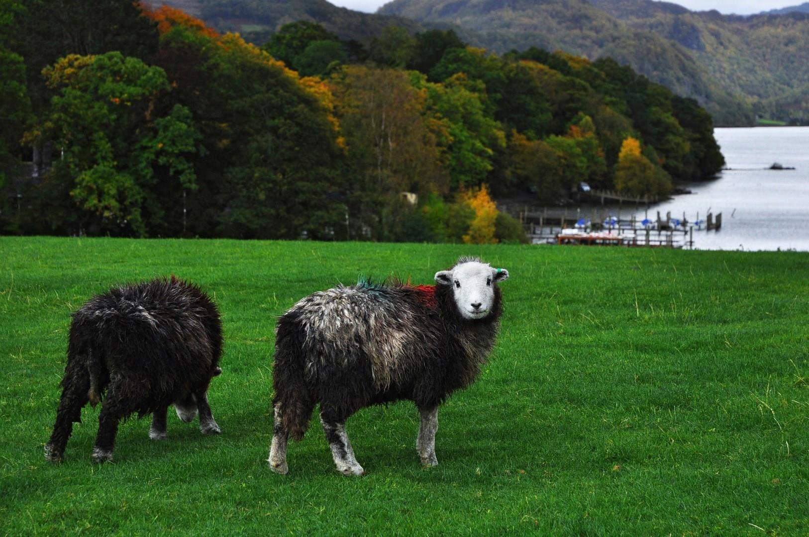 Cumbria