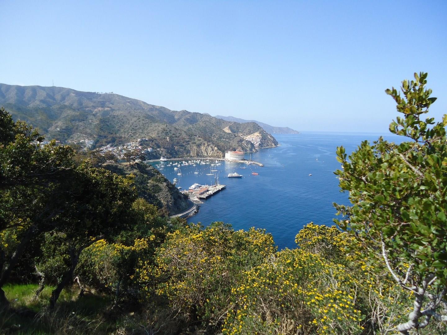 Catalina Island