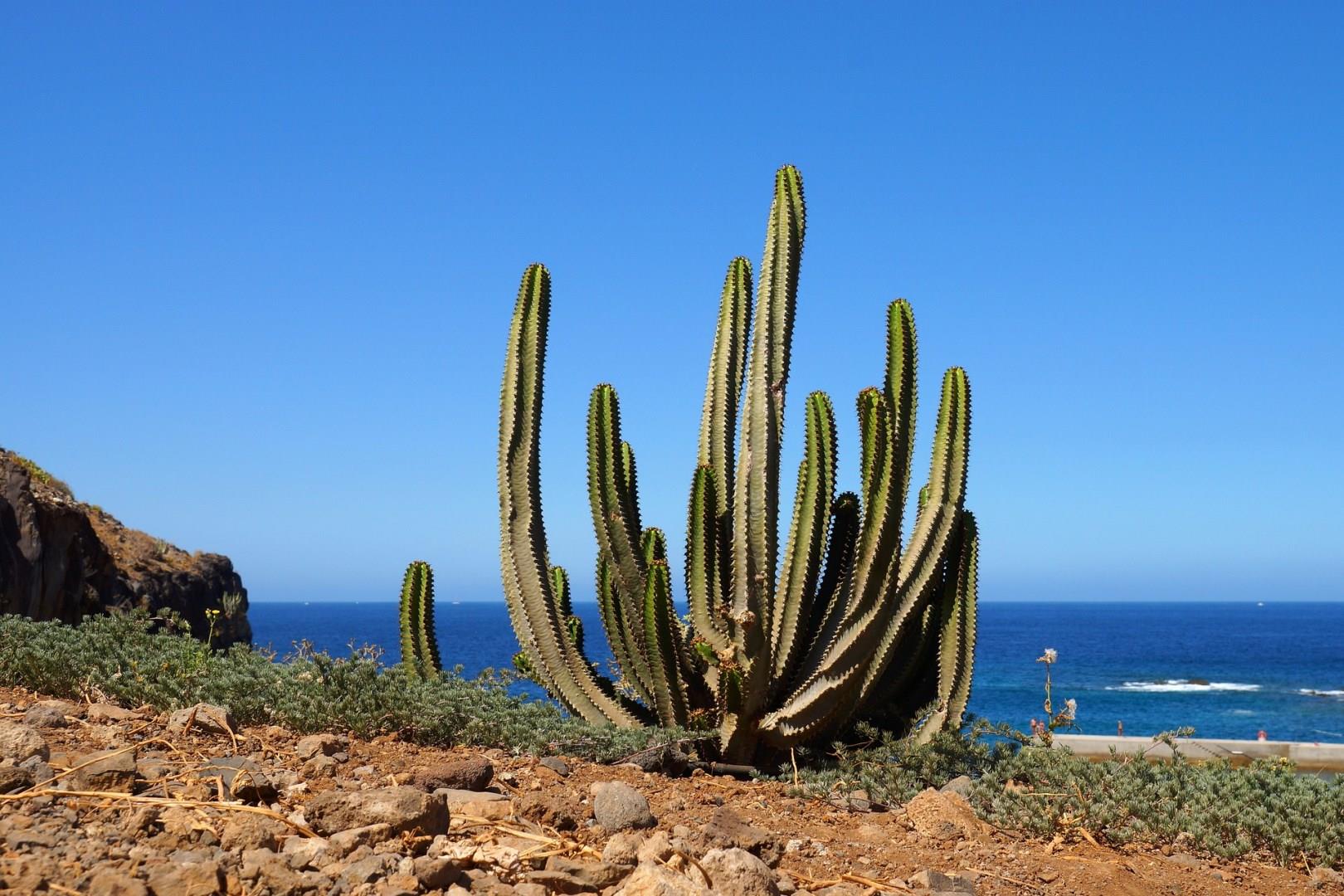 Tenerife Island