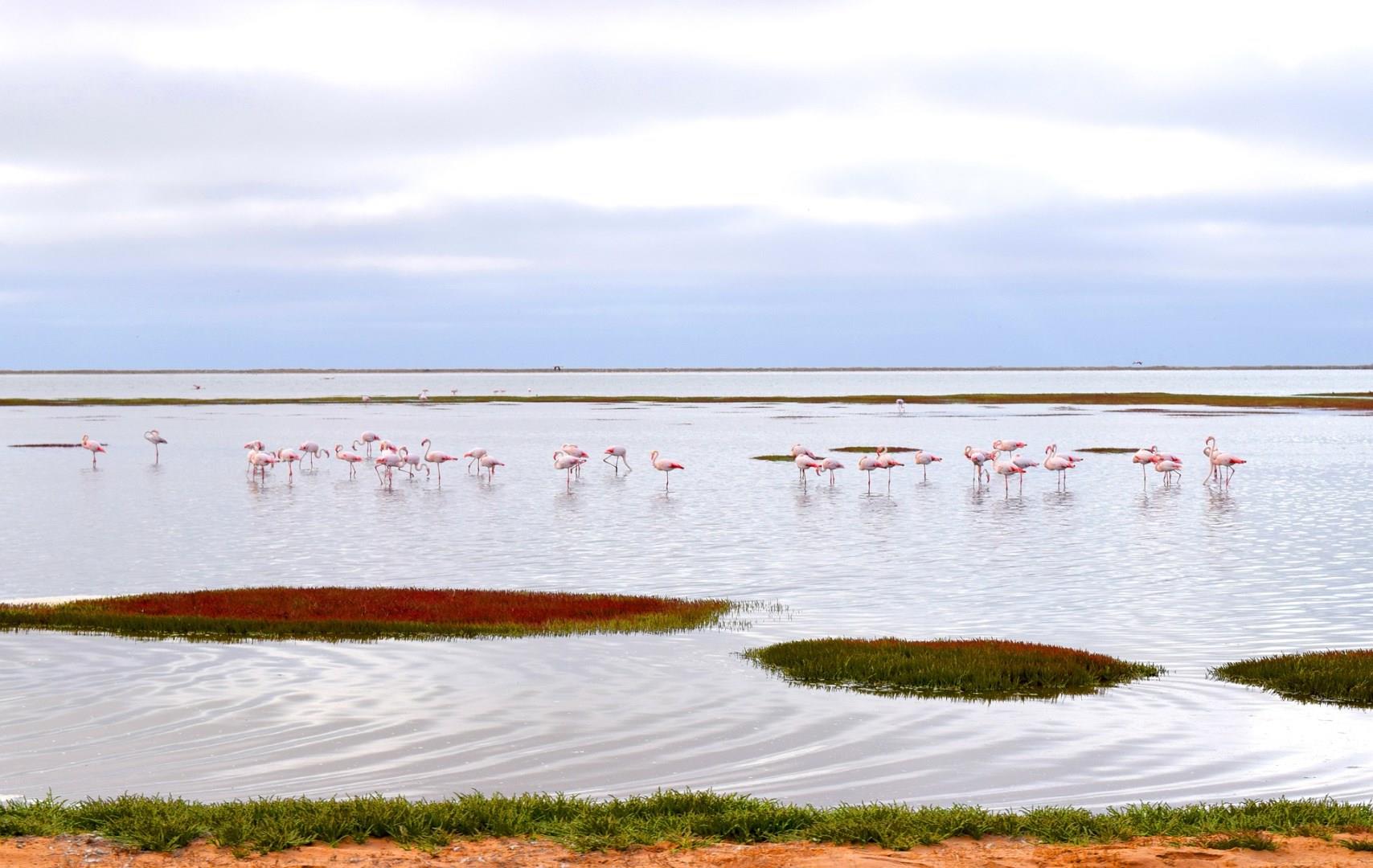 Walvis Bay