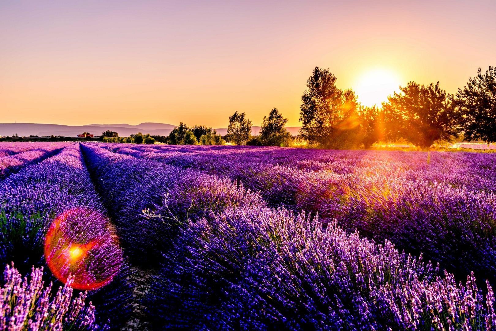 Provence