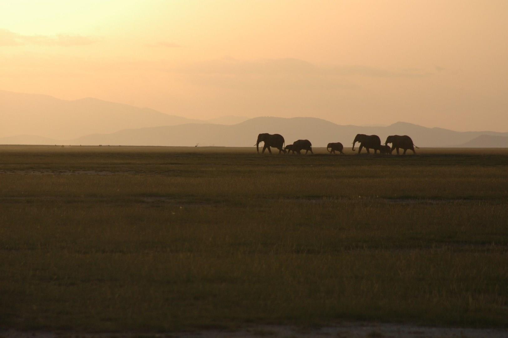 Amboseli National Park