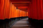 Kyoto, Japan - Photo Credit: Vincent M.A. Janssen